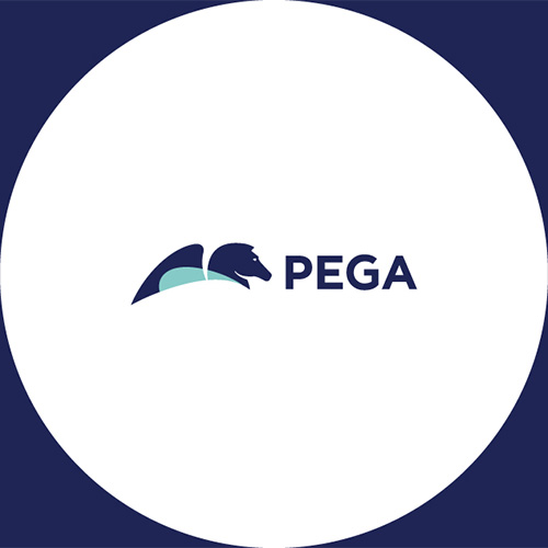 Pega launches â€˜Infinity '25â€™, the industryâ€™s first AI-powered agentic enterprise transformation platform