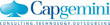 Capgemini reports on Big Data