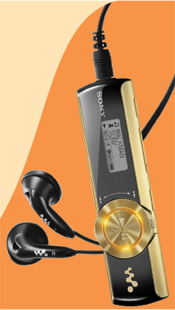 Sony Walkman NWZ-B172
